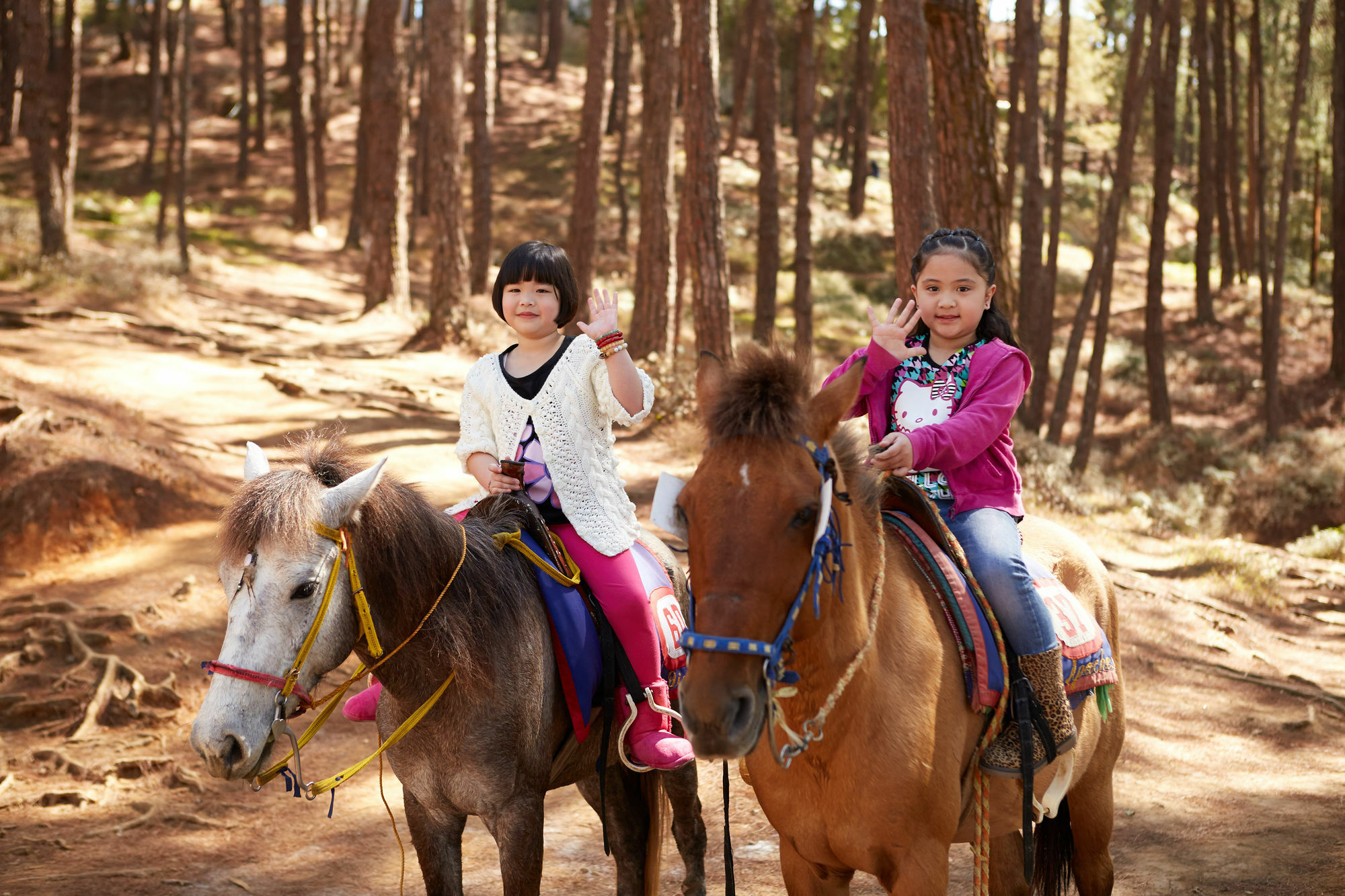 The Manor At Camp John Hay Hotel Baguio City Ngoại thất bức ảnh